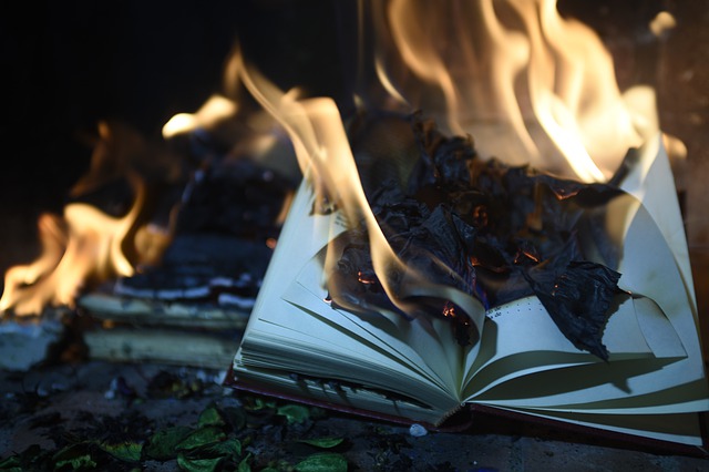 Book burning image