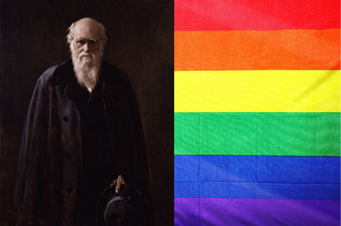 Believing in Evolution Leads to Sodomy image