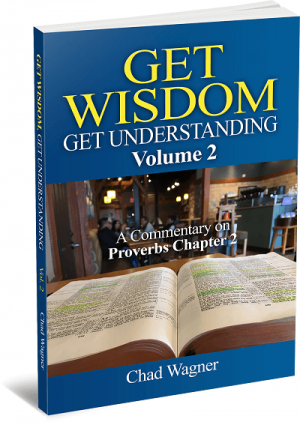 Get Wisdom Get Understanding Vol 2